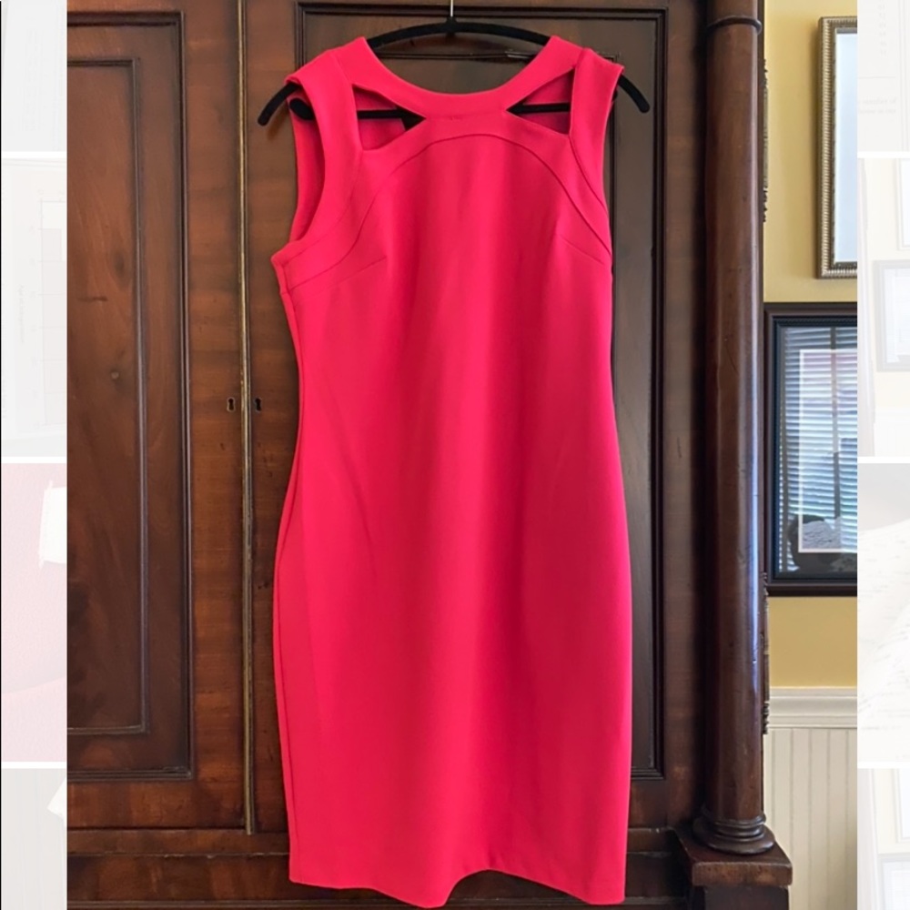 NWOT Calvin Klein Dress 12